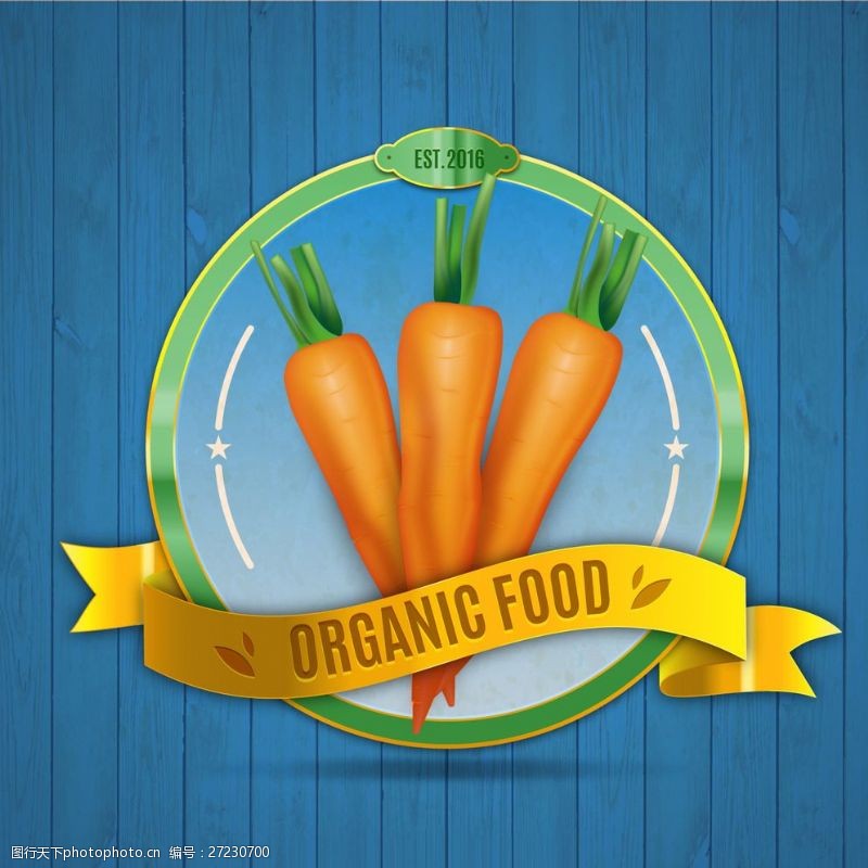 健康产品有机食品图标图片