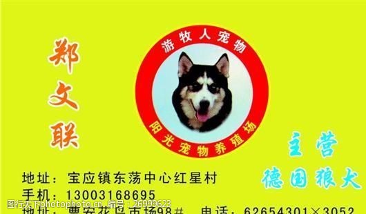 宠物名片宠物类名片模板CDR4543