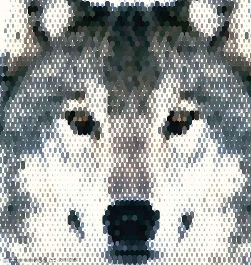 白狼动物头像狼图片