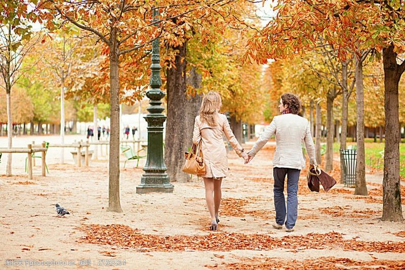 散景秋天手牵手散步的情侣
