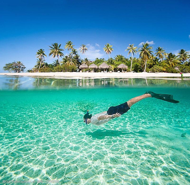 潜水运动潜水的人与椰树风景