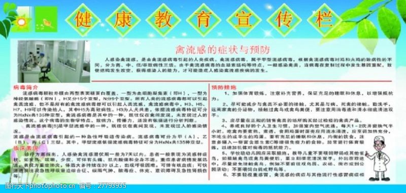 中医理疗模板下载禽流感健康教育宣传栏