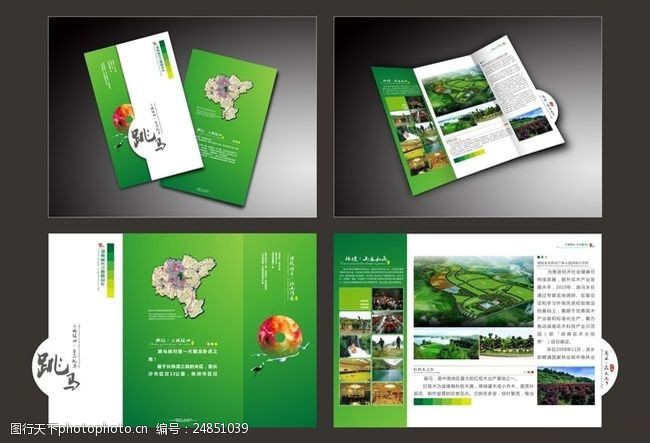 企业内部画册绿色折页宣传海报设计矢量素材