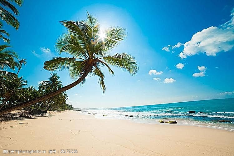 淘宝店铺装修素材美丽沙滩椰树景色图片