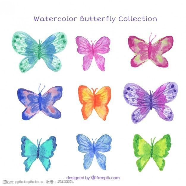 水彩蝴蝶水彩画美丽的蝴蝶