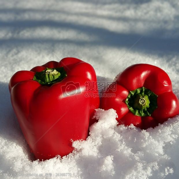 雪菜雪地上的红辣椒