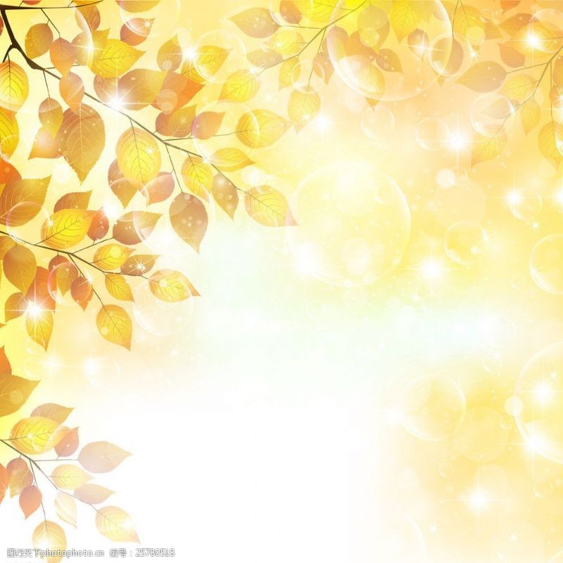 金色光线金黄树叶图片