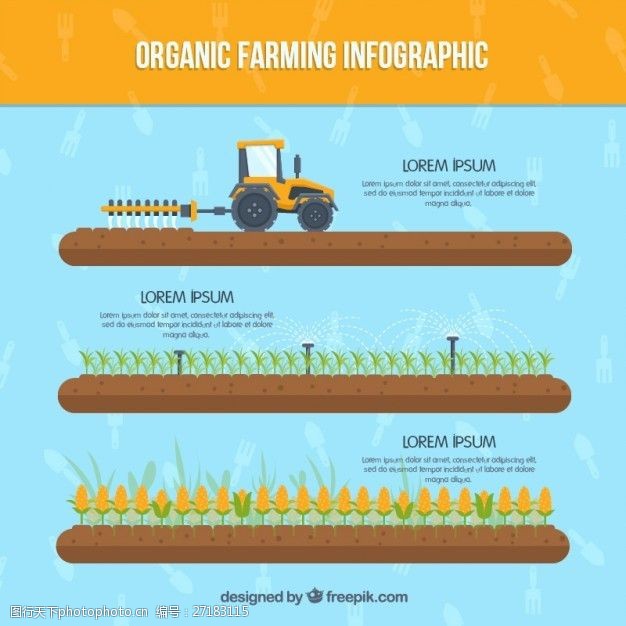 蓝色蔬菜有机农业的信息图表