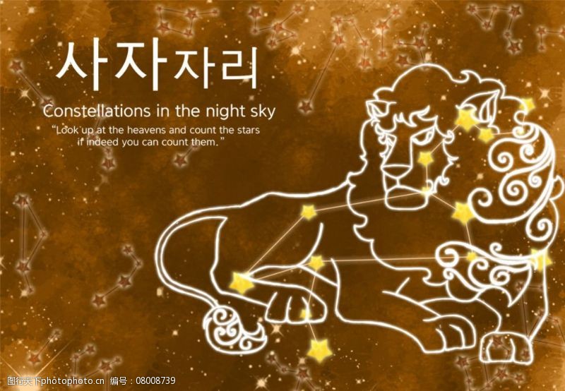 后座星座狮子座图片