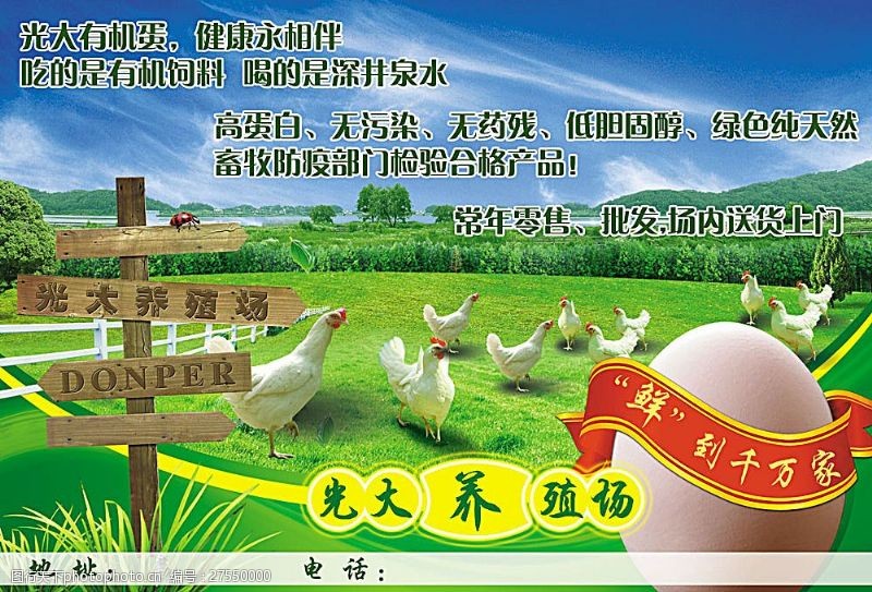 清平乐乡村鸡蛋设计素材
