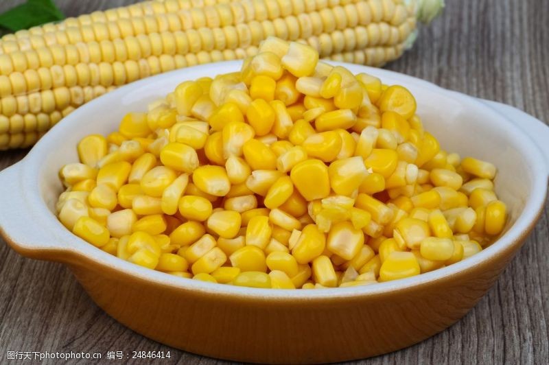 金黄玉米玉米棒和玉米粒