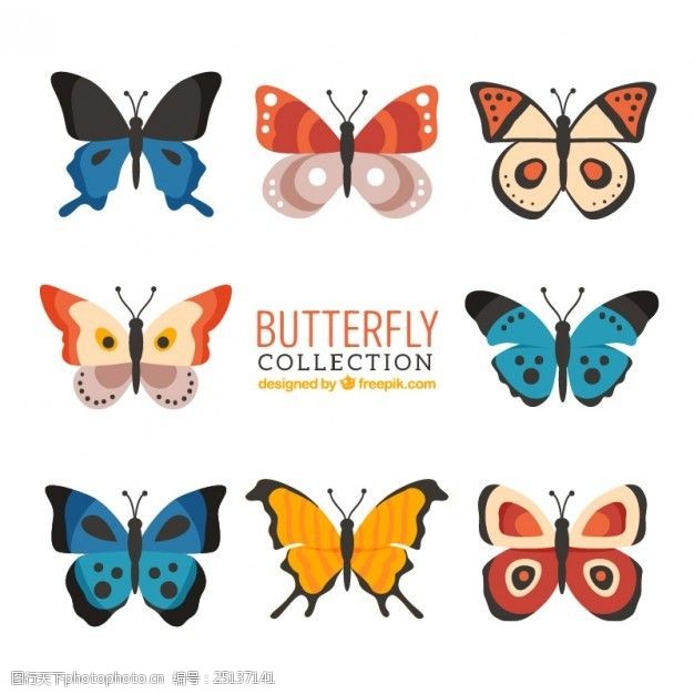 各种颜色的蝴蝶