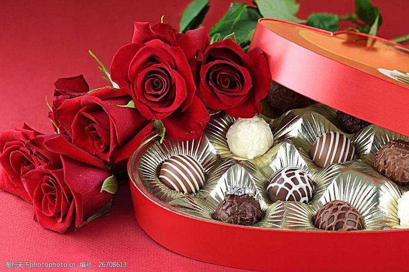 糖果色玫瑰花与巧克力