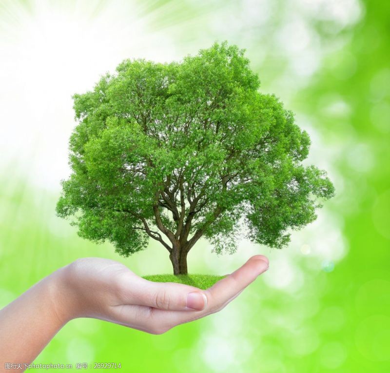 自然保护创意呵护树木手势高清图片