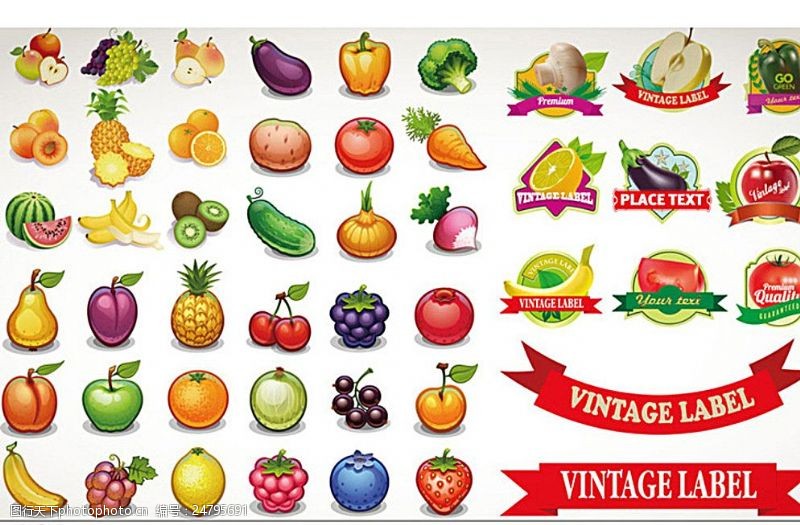 梨标签美味瓜果与标签矢量素材图片