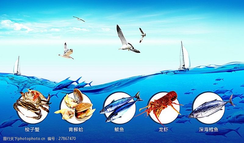 鲅鱼海产品海报图片
