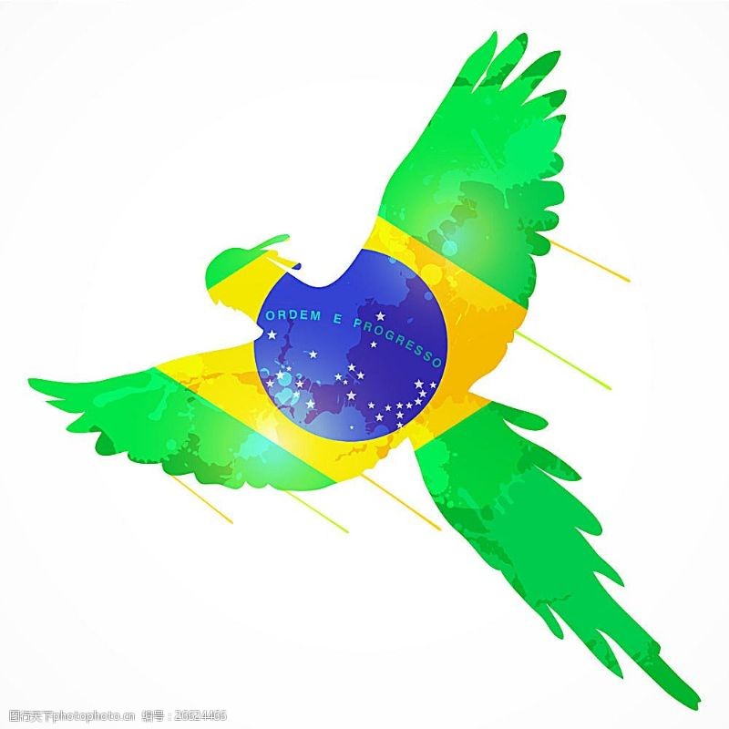 体育赛事鹦鹉与巴西国旗
