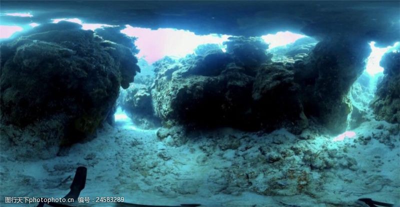 虚幻梦幻海底珊瑚VR视频