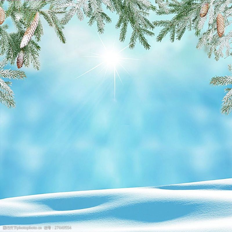 圣诞节风景阳光与雪地背景