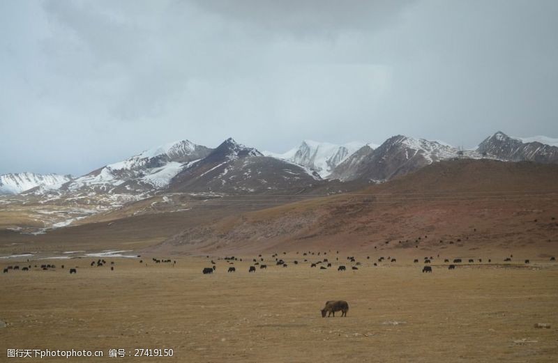青藏铁路青藏高原图片