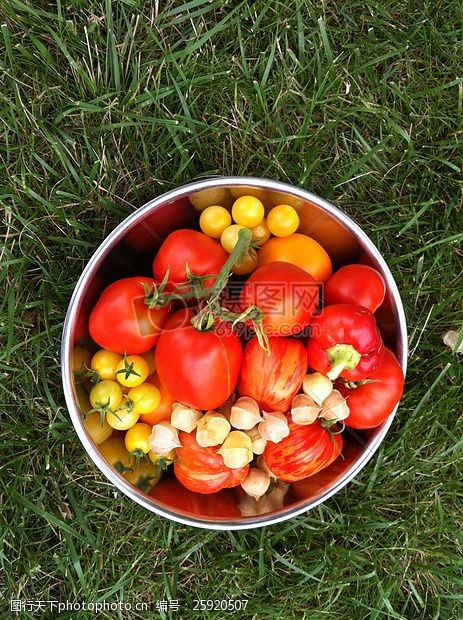 红红的辣椒一碗各种各样的水果