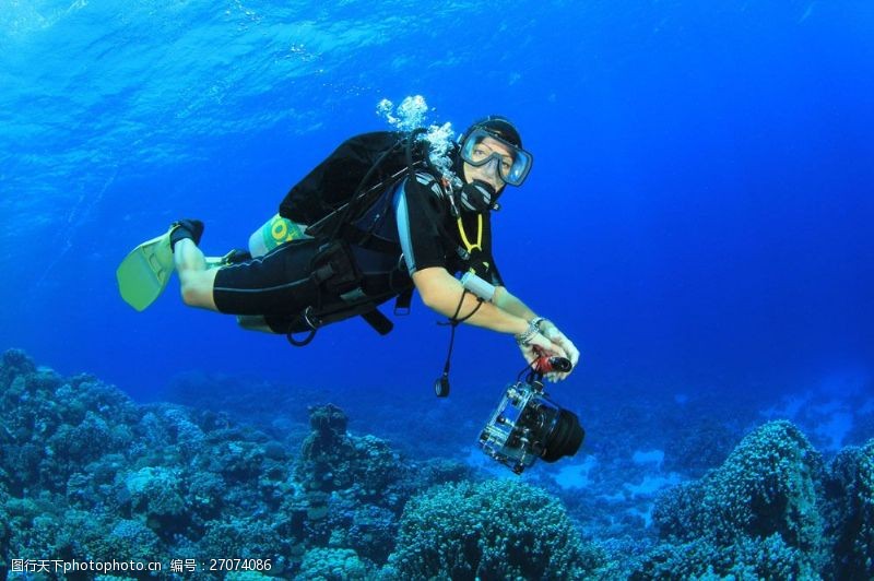 潜水运动拍摄珊瑚的潜水员