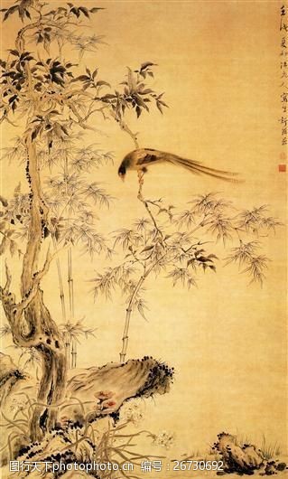 绶带鸟桂树绶带图花鸟画中国古画0451