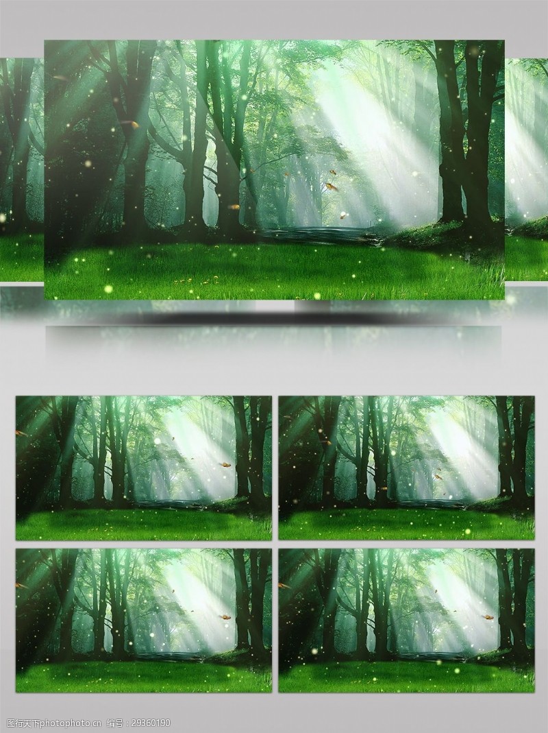 漫舞春天森林LED舞台背景高清视频素材