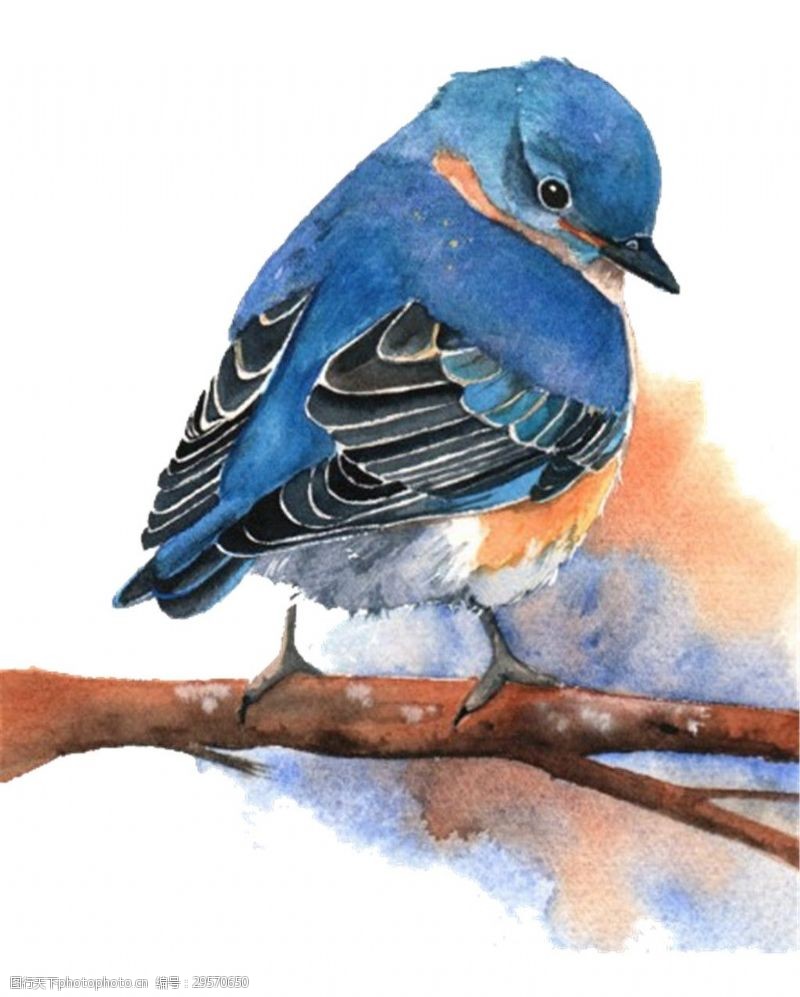蓝色小精灵可爱精灵蓝色小鸟装饰元素