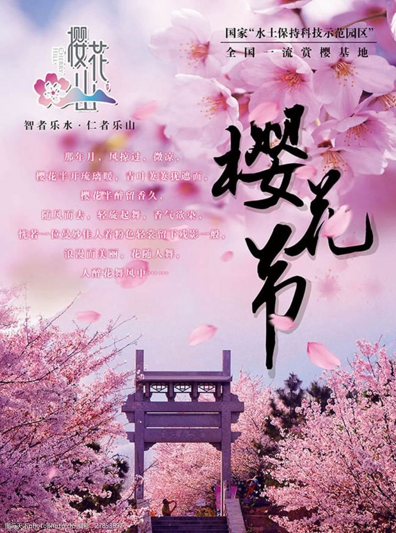 樱花旅游一流赏樱基地樱花节宣传海报设计psd