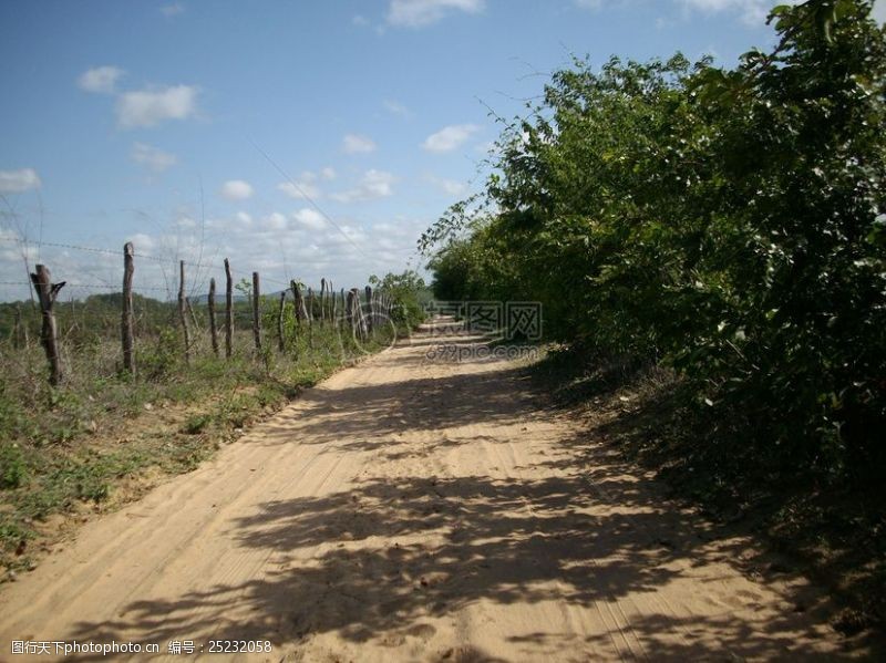 穷乡僻壤巴西乡下的泥径路段