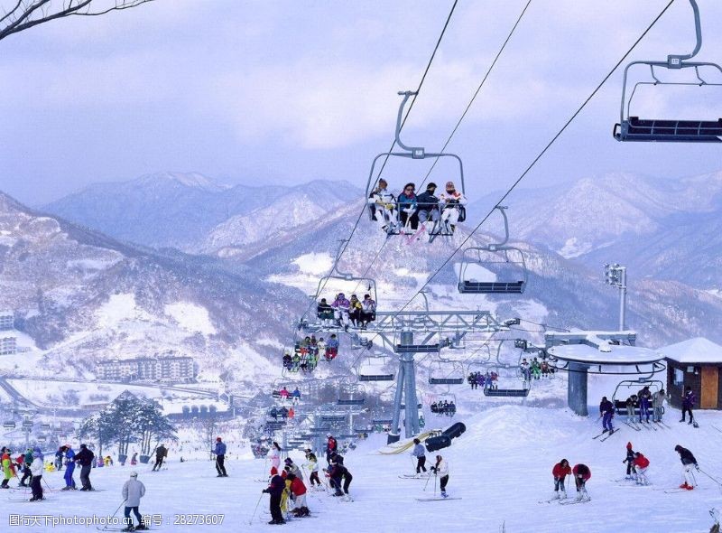 滑雪度假村韩国阳智度假村冬季图片