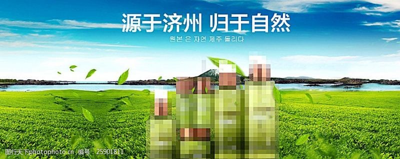 济州岛化妆品海报绿茶园图片
