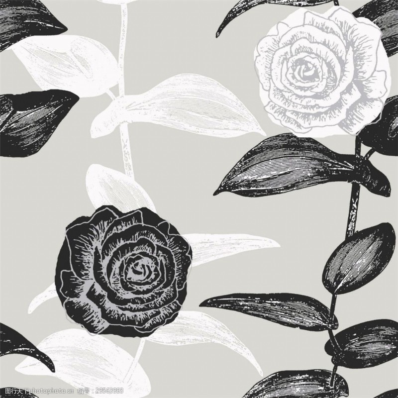 冷酷时尚时尚冷酷黑色玫瑰壁纸图案