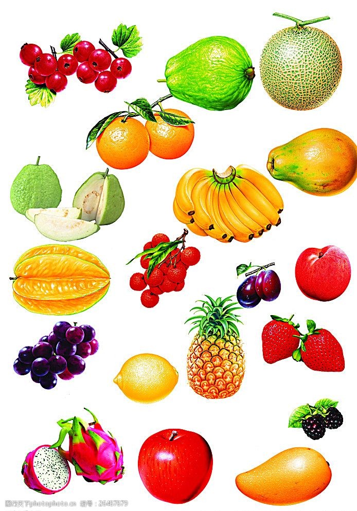 各类水果水果大全图片