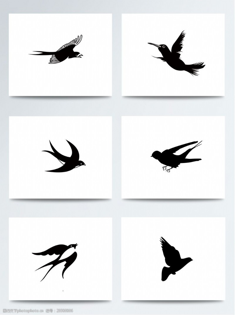 世界湿地日飞鸟燕子鸟类PNG元素