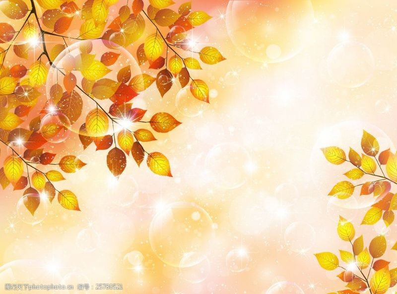 金色光线树叶图片
