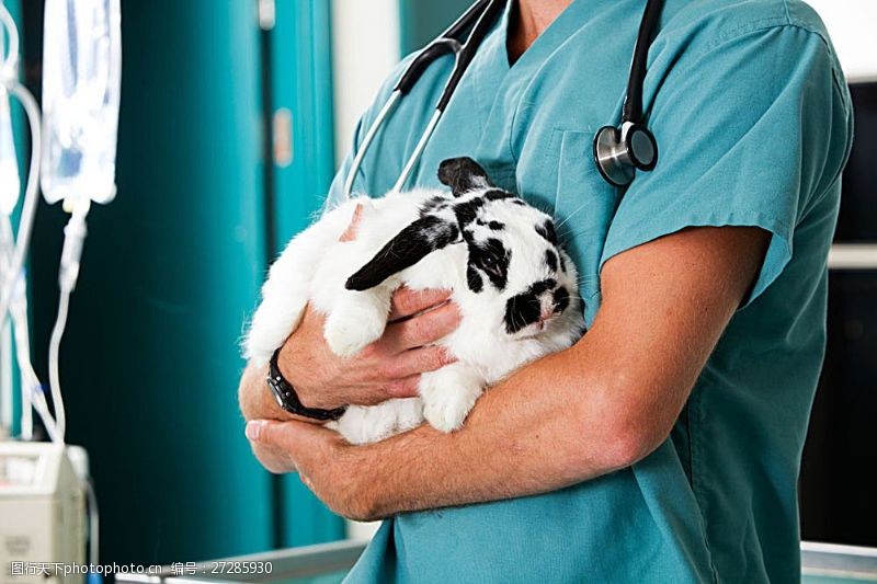 着陆器抱着小兔子的医生