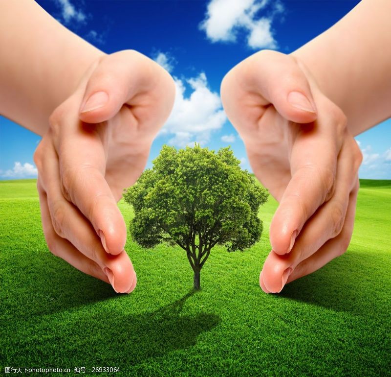 保护地球草地爱护树的双手