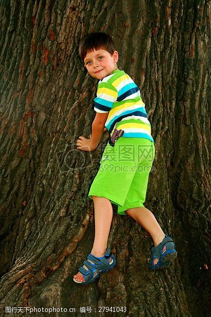 户外玩耍爬树的小男孩