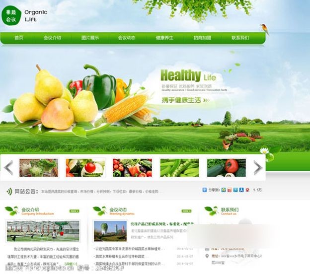 蔬菜基地网页设计