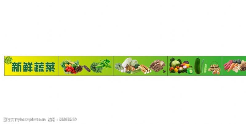 蔬菜种类新鲜蔬菜排版写真喷绘图片