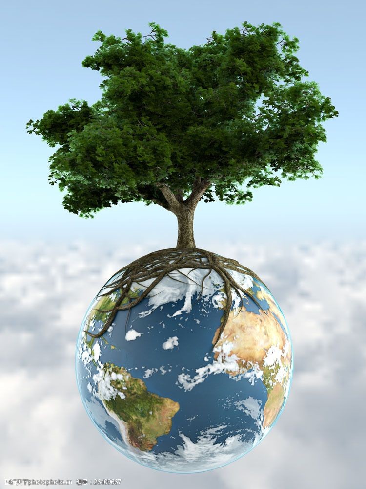 伐木树木与地球