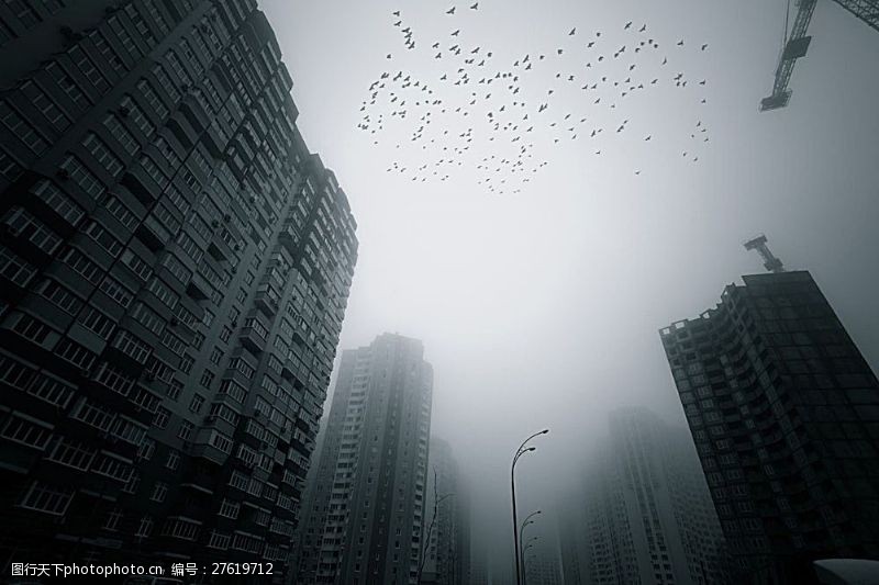 环境日有雾霾的城市
