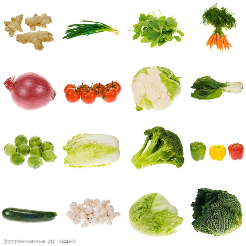 蘑菇菜16种高清蔬菜图片素材下载
