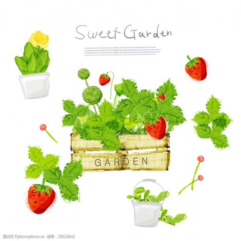 tua草莓绿叶与花盆植物等PSD分层素材