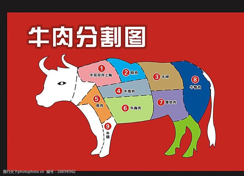 生牛肉牛肉分割图图片
