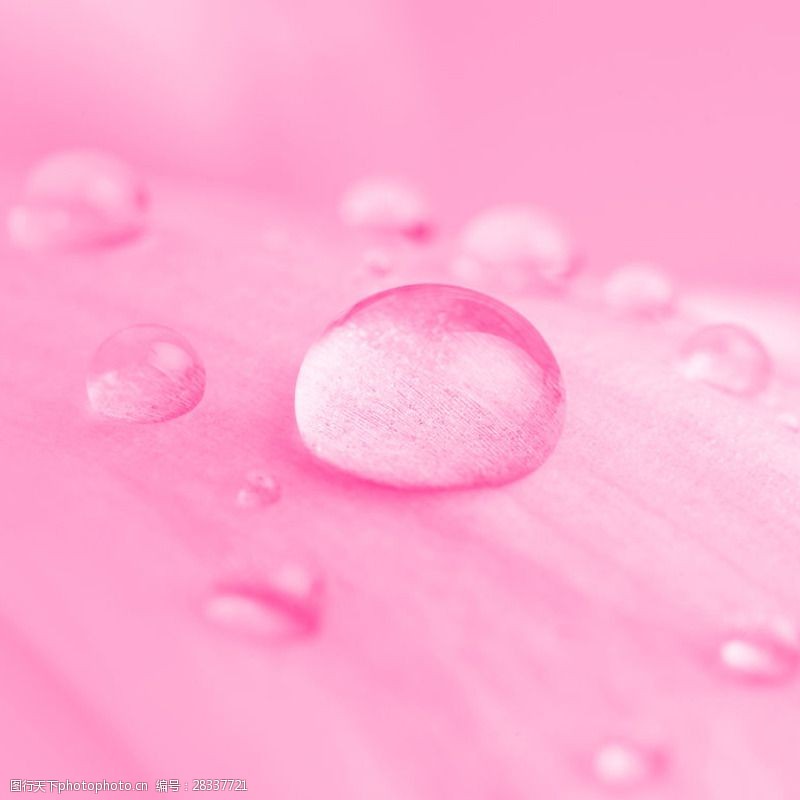 粉色唯美水滴背景图