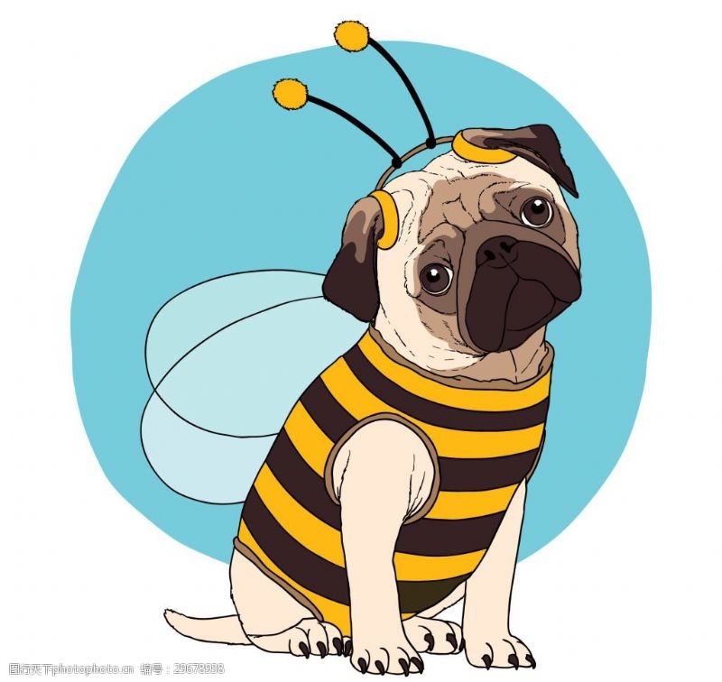 卡通宠物卡通蜜蜂装扮狗狗素材