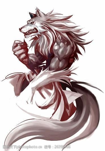 白狼狼动物插图18
